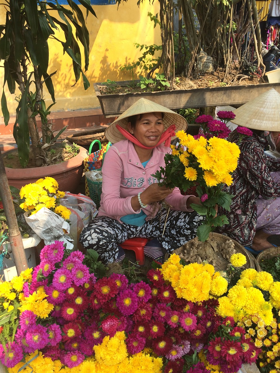Hoi An, Vietnamas, Gėlės, Turgus, Nemokamos Nuotraukos,  Nemokama Licenzija
