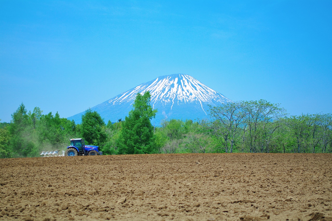 Hokkaido,  Niseko,  Žemė,  Natūralus,  Žalias,  Kraštovaizdis,  Žemdirbystė,  Bulvė,  Traktorius,  Kaimo