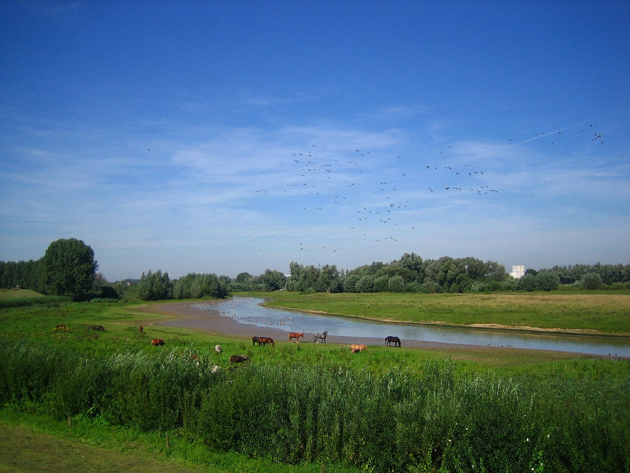 Holland, Upės Kraštovaizdis, Idilija, Nemokamos Nuotraukos,  Nemokama Licenzija