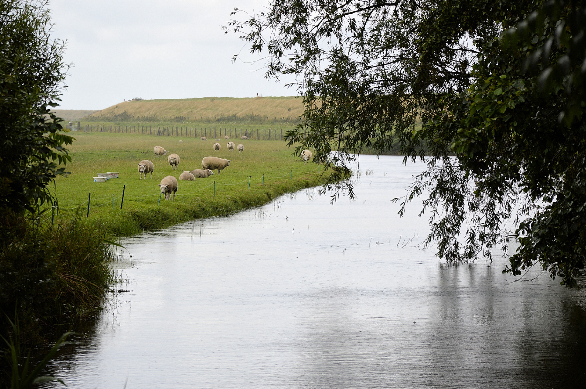 Kraštovaizdis,  Kaimas,  Panorama,  Gamta,  Nyderlandai,  Šiaurė & Nbsp,  Holland,  Olandų Kraštovaizdis, Nemokamos Nuotraukos,  Nemokama Licenzija