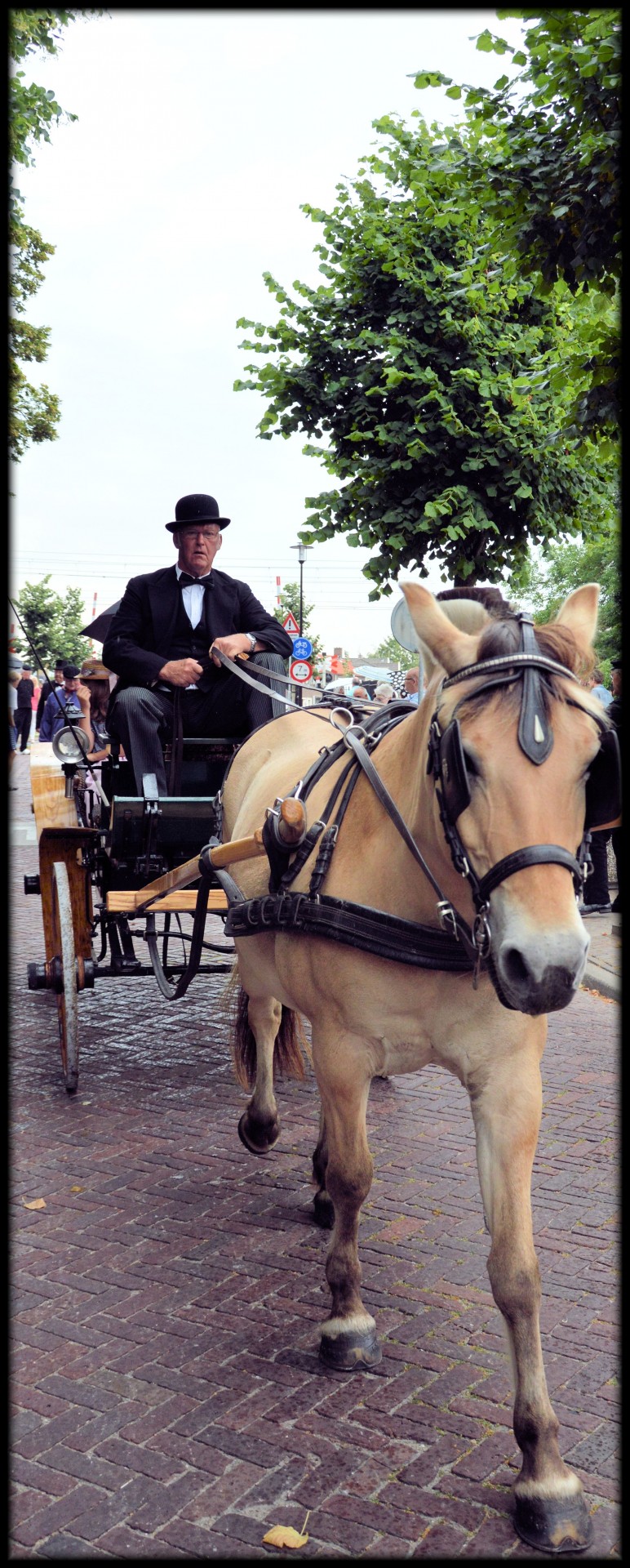 Žmonės,  Grupė,  Grupes,  Veikla,  Tradicija,  Turgus,  Kostiumai,  Folkloras,  Nyderlandai,  Holland