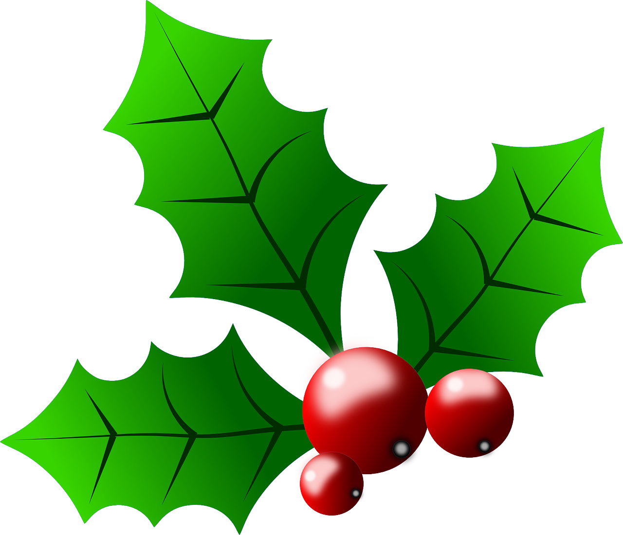 Holly, Augalas, Žalias, Raudona, Uogos, Lapai, Holly-Uogos, Nemokama Vektorinė Grafika, Nemokamos Nuotraukos,  Nemokama Licenzija