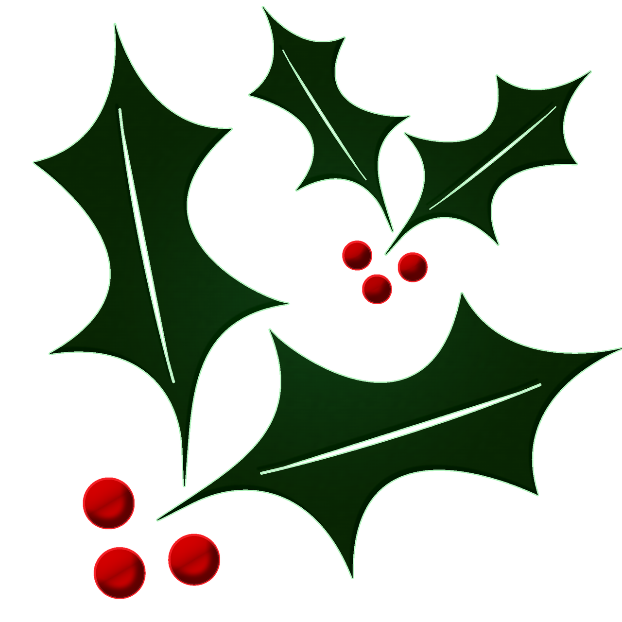 Holly, Ilex, Augalas, Gėlė, Lapai, Izoliuotas, Kalėdos, Aquifoliaceae, Žalias, Kalėdų Laikas