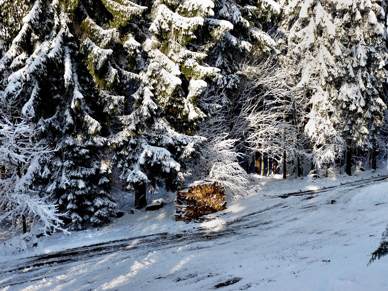 Holzstabel, Žiema, Sniegas, Žiemą, Nemokamos Nuotraukos,  Nemokama Licenzija