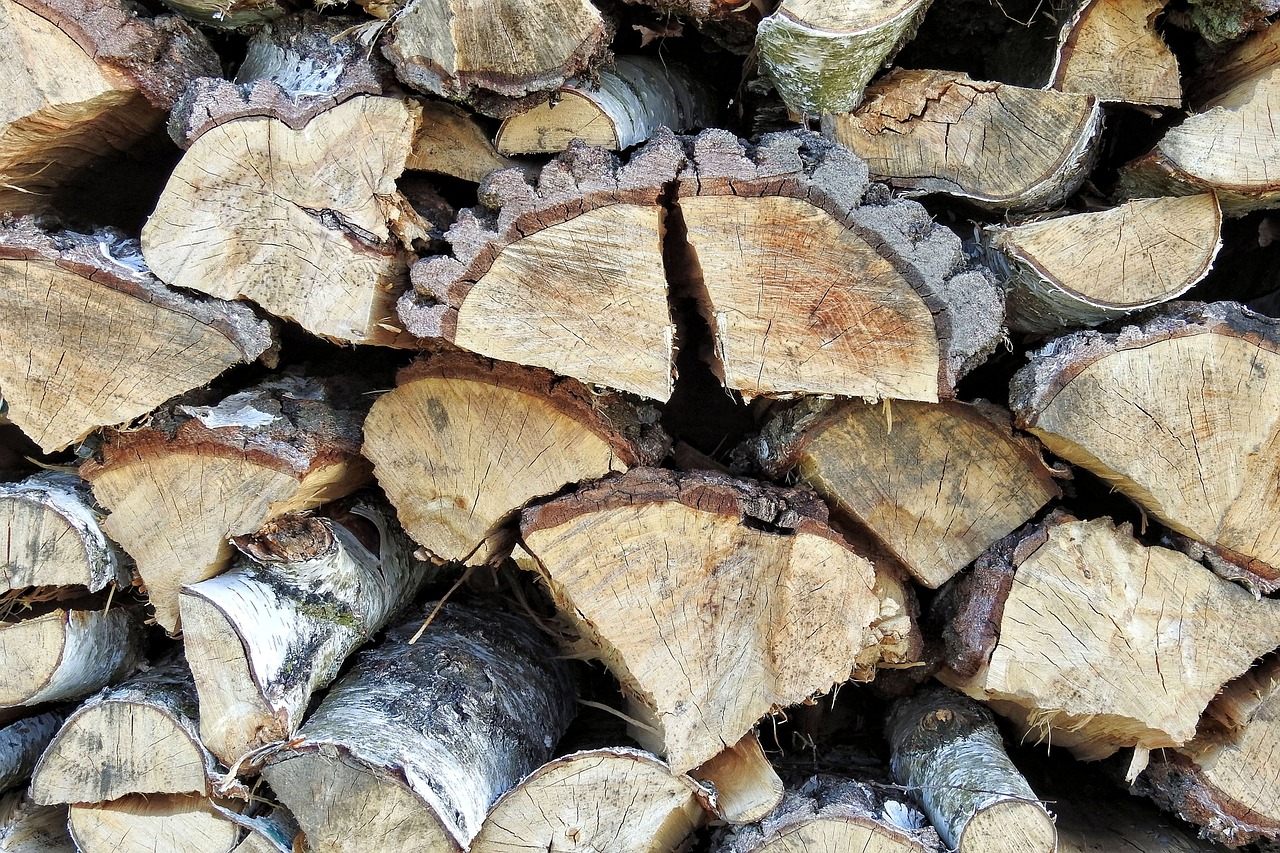 Holzstapel, Tekstūra, Mediena, Gamta, Sukrauti, Šukių Pjovimas, Nemokamos Nuotraukos,  Nemokama Licenzija