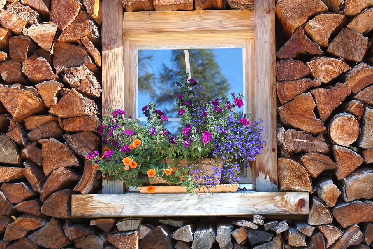 Holzstapel, Langas, Atsargos, Malkos, Mediena, Šiluma, Senas Langas, Augimo Atsargos, Sluoksnis, Mediniai Langai