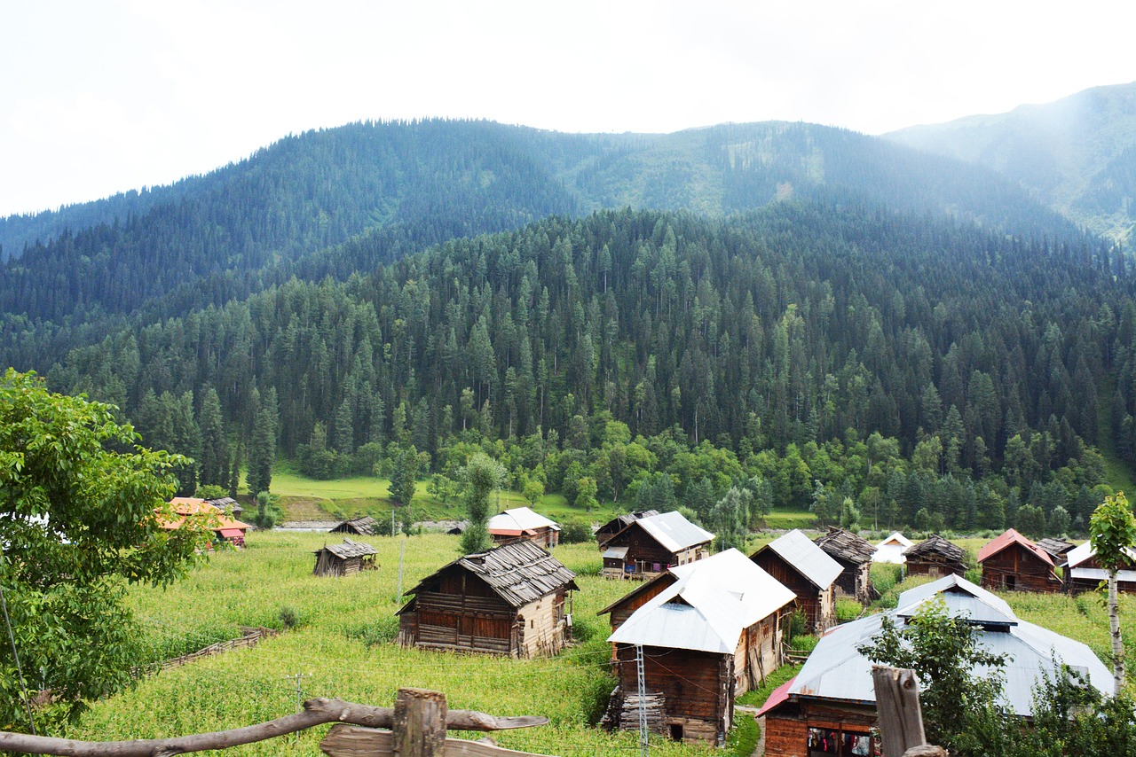 Namai, Žalias, Peizažas, Pakistanas, Neelam, Gražus, Vasara, Namas, Nemokamos Nuotraukos,  Nemokama Licenzija