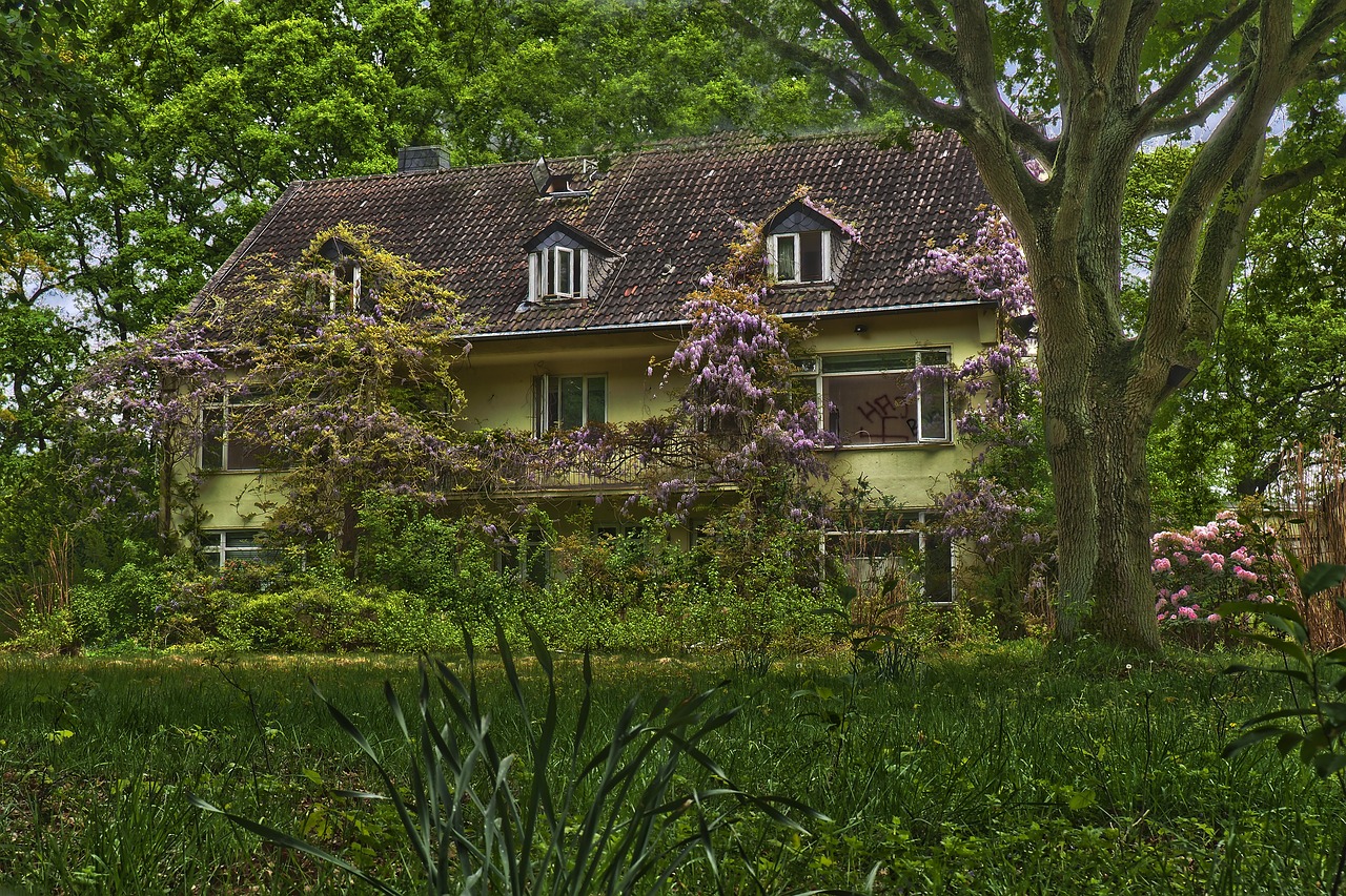 Namas,  Architektūra,  Kaimo,  Sodas,  Pobūdį,  Statyba,  Metai,  Medis,  Žolė,  Už Jos Ribų