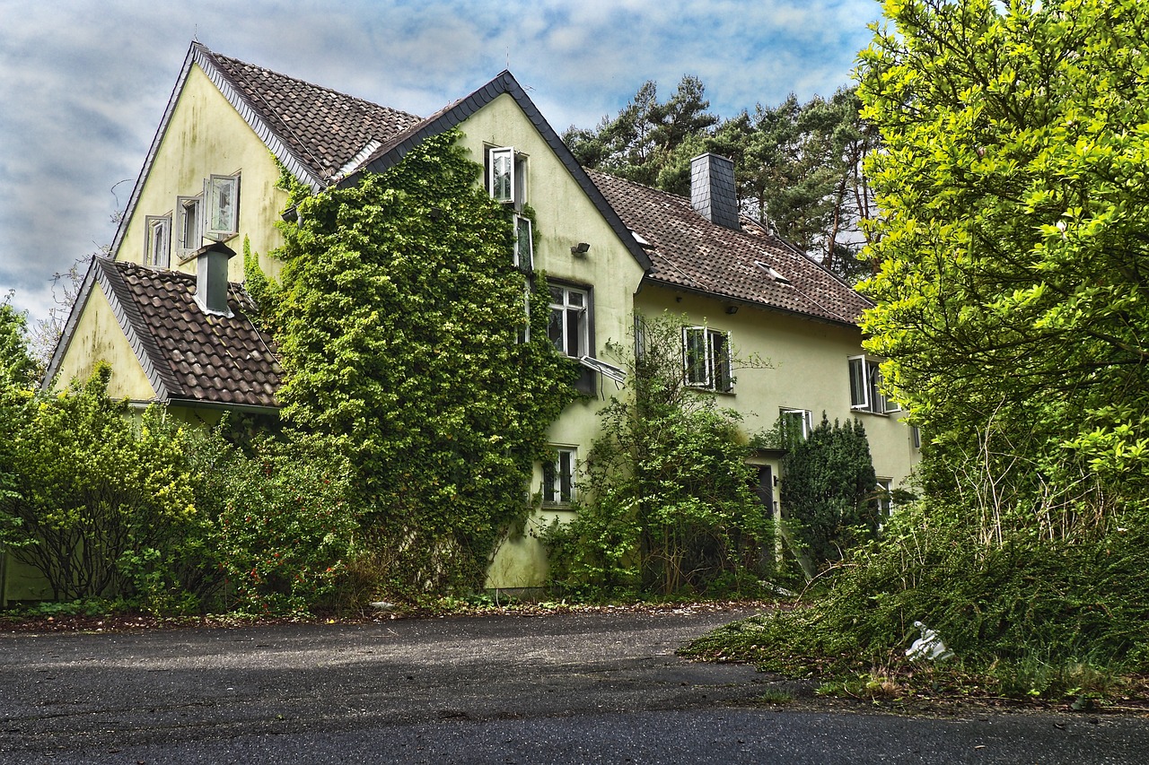 Namas,  Architektūra,  Kaimo,  Sodas,  Pobūdį,  Statyba,  Metai,  Medis,  Žolė,  Už Jos Ribų