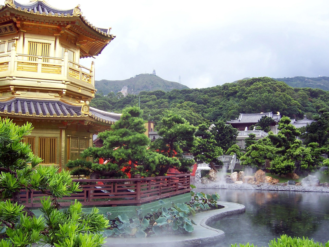 Honkongas, Sodas, Kraštovaizdis, Asija, Medis, Peizažai, Filialai, Gamta, Žalias, Parkas