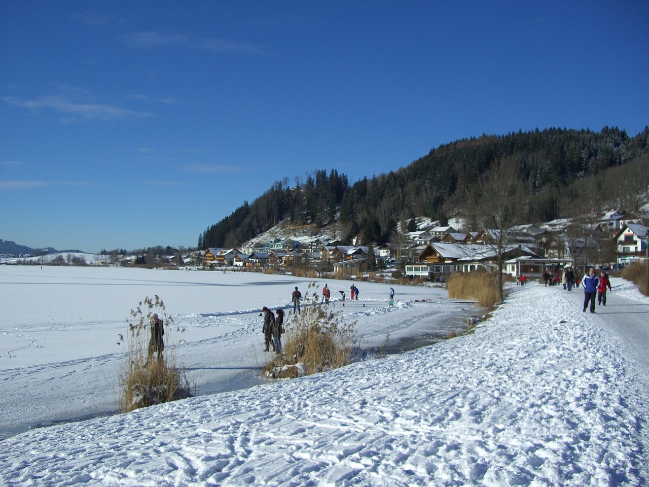Eik Prie Ežero, Ežeras, Allgäu, Žiema, Skate, Sniego Pakilimas, Nemokamos Nuotraukos,  Nemokama Licenzija