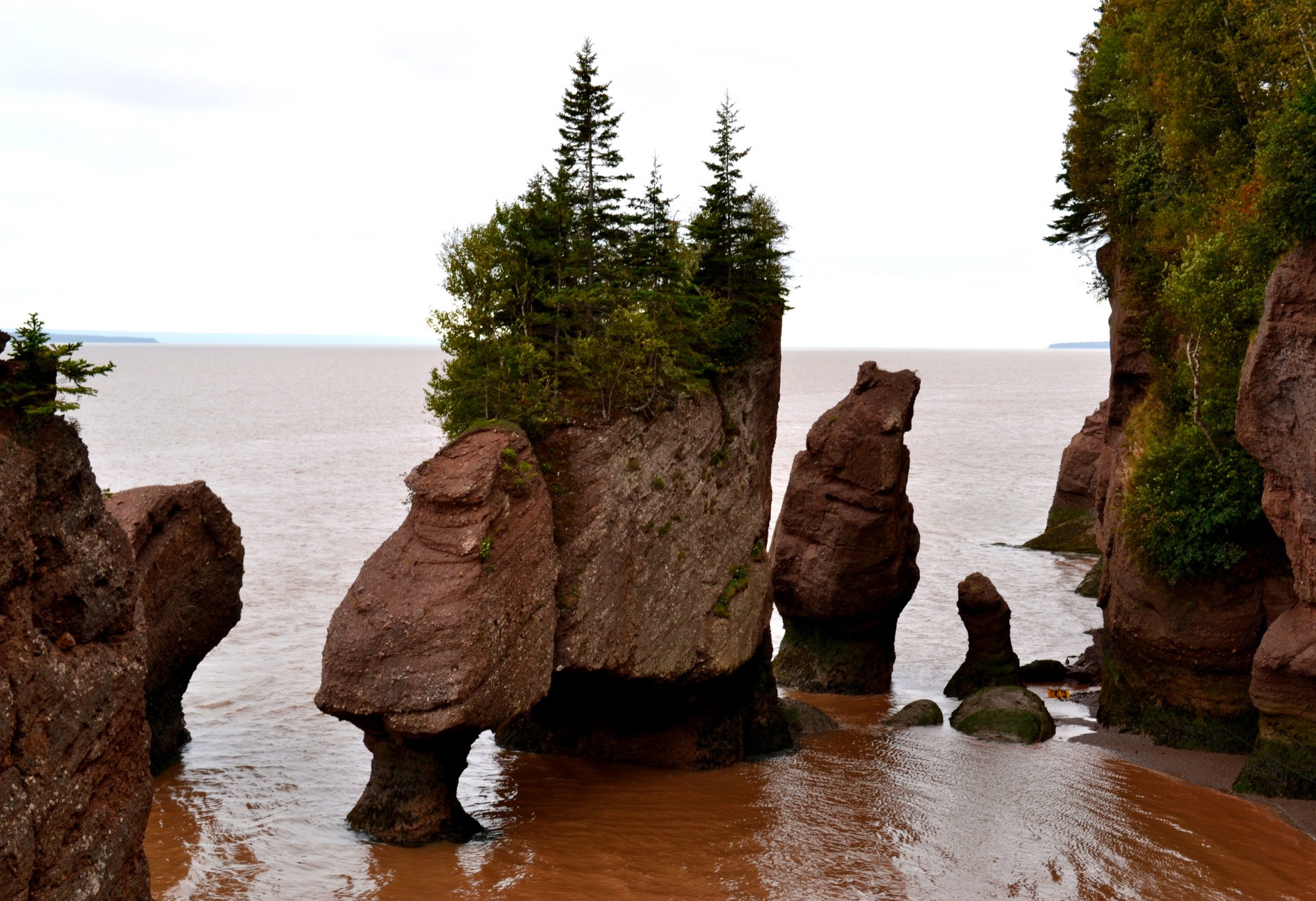 Hopewell & Nbsp,  Uolos,  Bay & Nbsp,  Fundy,  Naujas & Nbsp,  Brunswick,  Kanada,  Vanduo,  Gamta,  Hopewell Akmenys