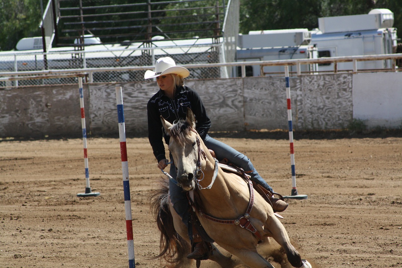 Arklys, Rodeo, Kaubojus, Vakarų, Raitelis, Arkliai, Varzybos, Cowgirl, Cilindras, Arena