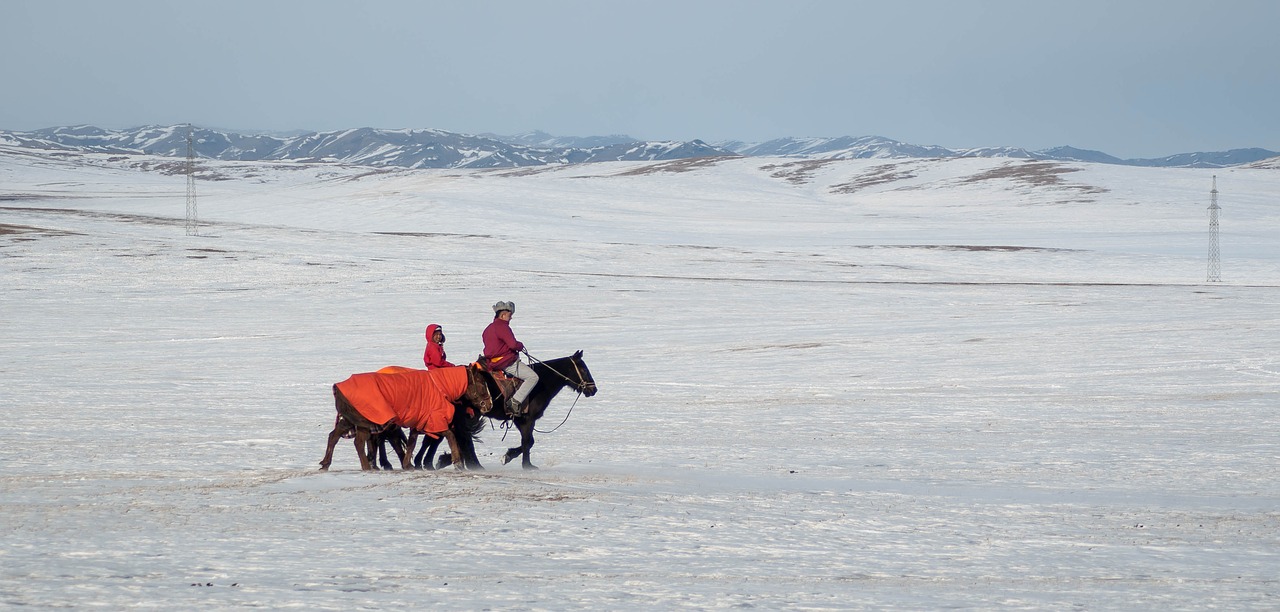 Arklys, Žiema, Sniegas, Gamta, Eržilas, Lauke, Arkliai, Jodinėjimas, Mongolija, Nemokamos Nuotraukos