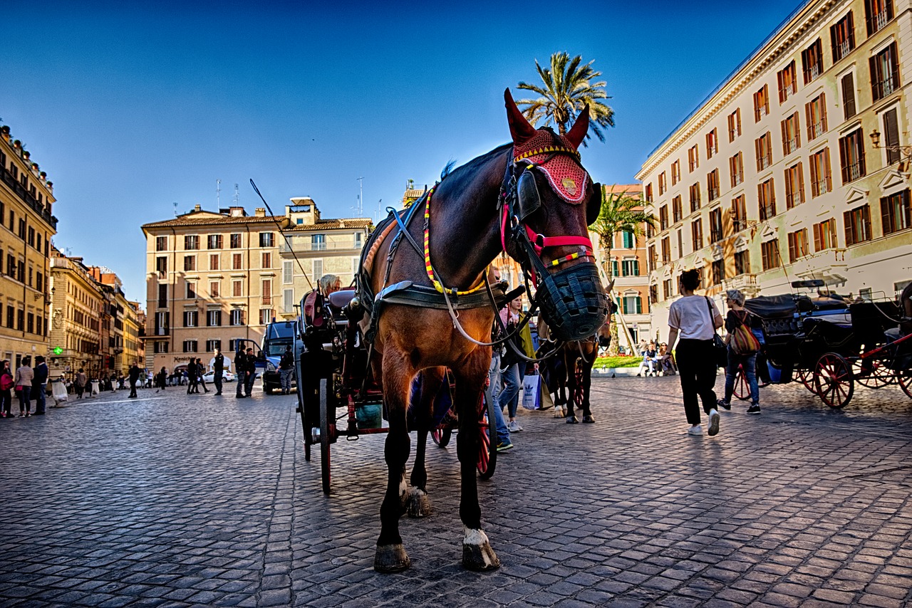 Arklys, Roma, Italy, Turizmas, Piazza, Kelionė, Miestas, Ispanų, Nemokamos Nuotraukos,  Nemokama Licenzija