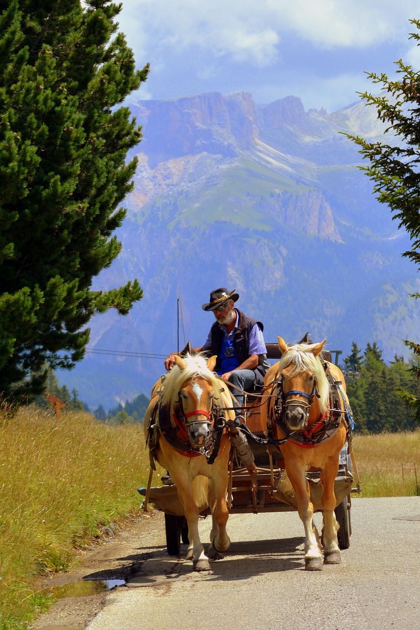 Arklys, Carrozza, Gyvūnai, Kelias, Dolomitai, Nemokamos Nuotraukos,  Nemokama Licenzija