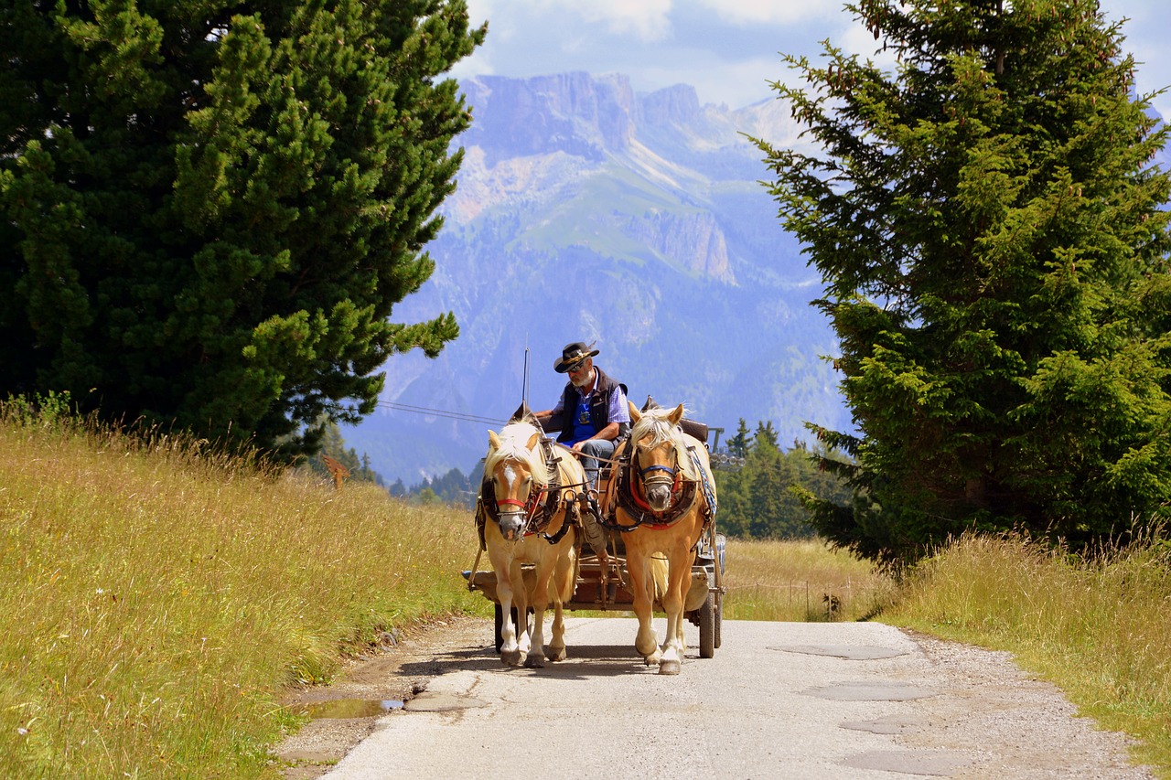 Arklys, Carrozza, Gyvūnai, Kelias, Dolomitai, Nemokamos Nuotraukos,  Nemokama Licenzija