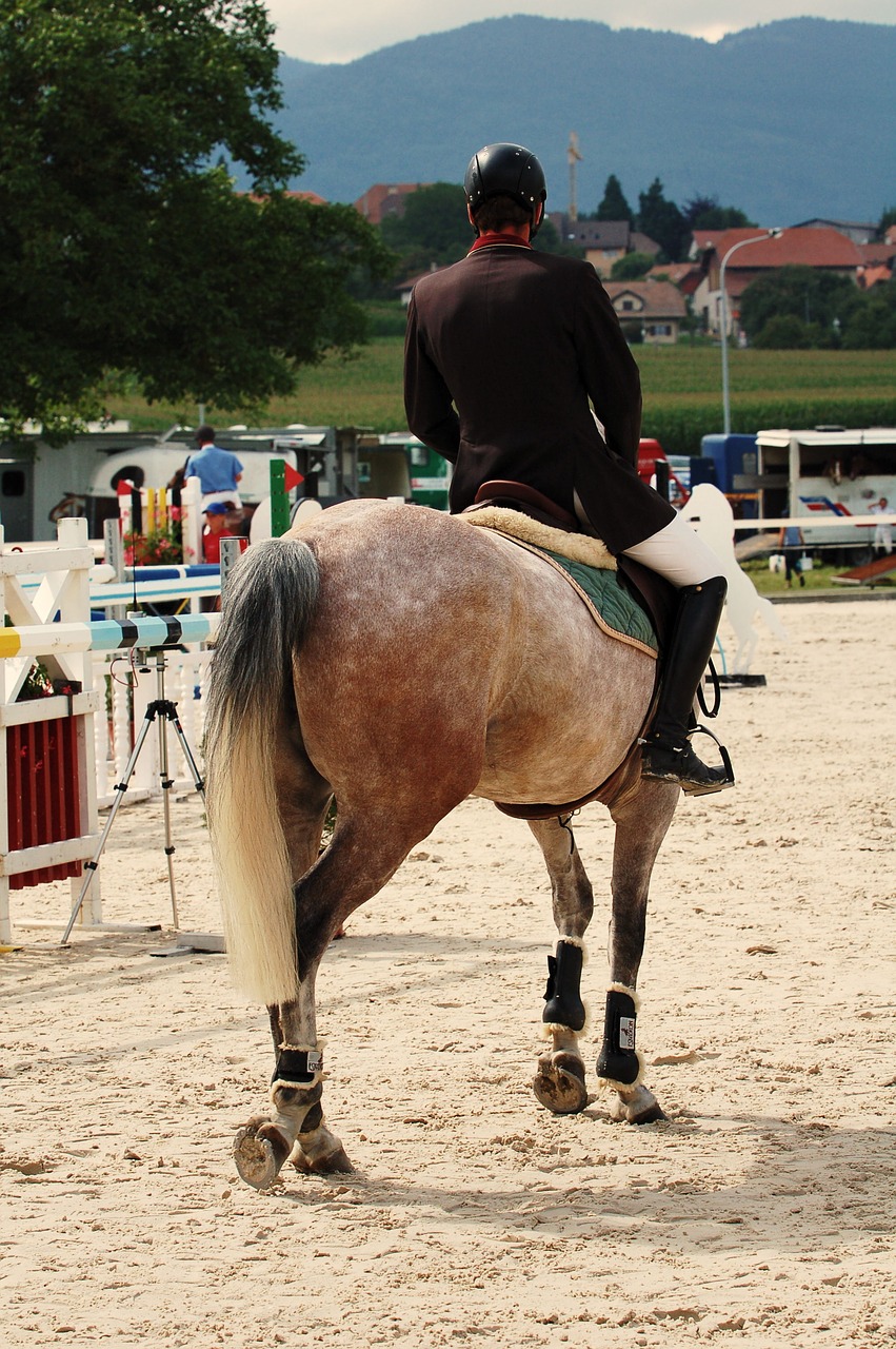 Arklys, Važiuoti, Turnyras, Reiter, Gyvūnas, Žmogus, Ruda, Reiterhof, Jodinėjimas, Arkliukas