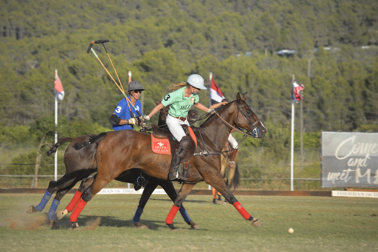 Arklys, Arkliai, Polo, Polo Sportas, Šokti, Arkliu Veikia, Jodinėjimas, Turnyras, Polo Turnyras, Polo Žaidimas