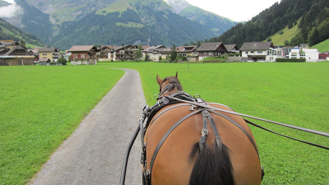 Arklys,  Šveicarijos,  Jodinėjimas Žirgais,  Kalnų,  Turizmas, Nemokamos Nuotraukos,  Nemokama Licenzija