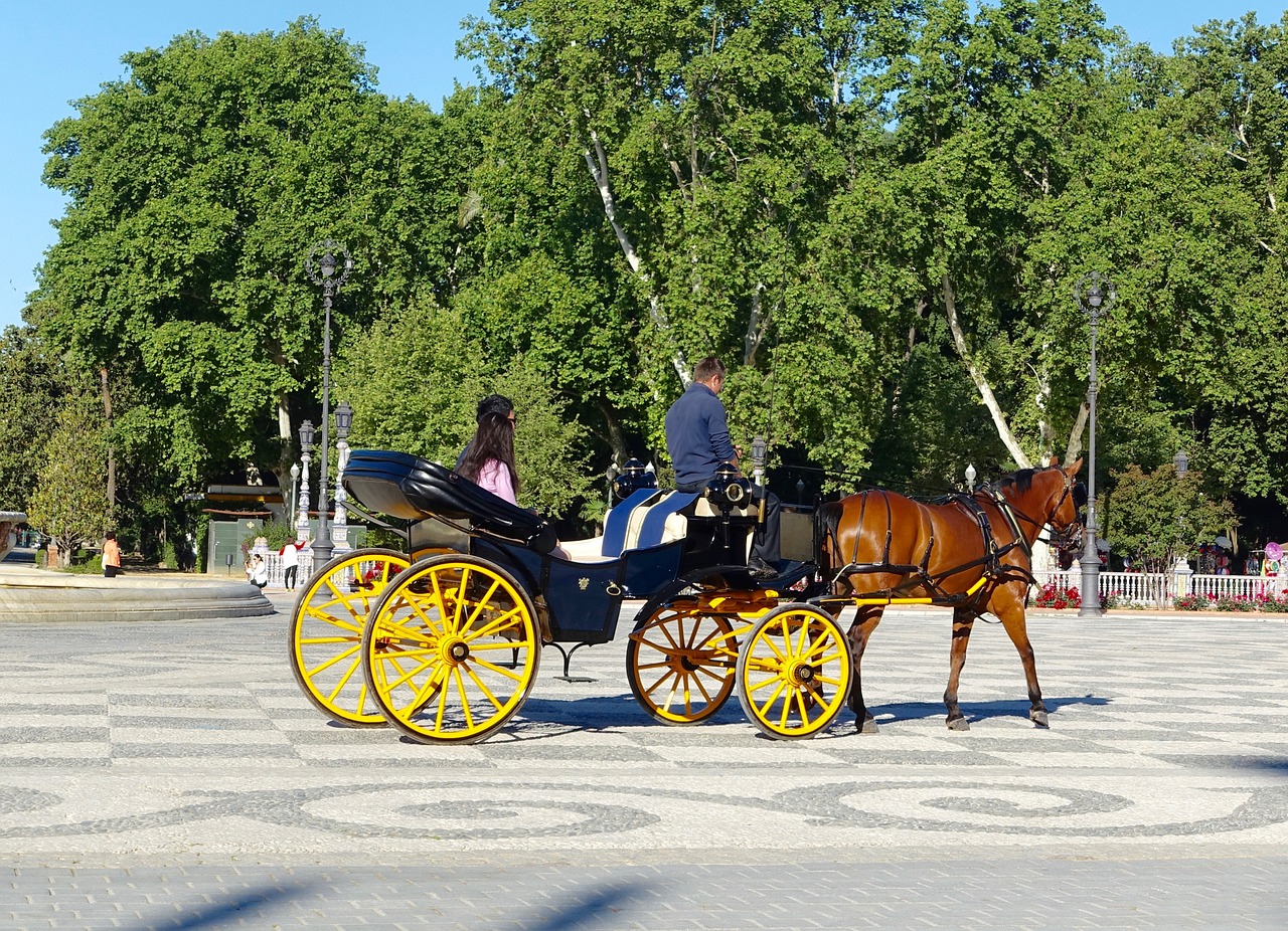 Arklys Ir Vežimėlis, Vežimas, Tradicinis, Transportas, Retro, Treneris, Pritraukimas, Vagonas, Elegancija, Romantiškas