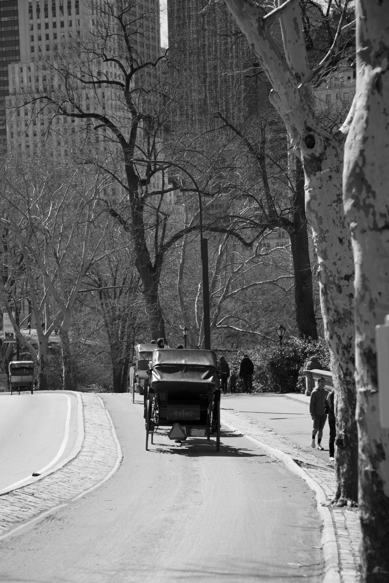 Parkas,  Centrinis,  Naujas,  York,  Nyc,  Kelionė,  Krepšelis,  Kelias,  Lauke,  Gatvė