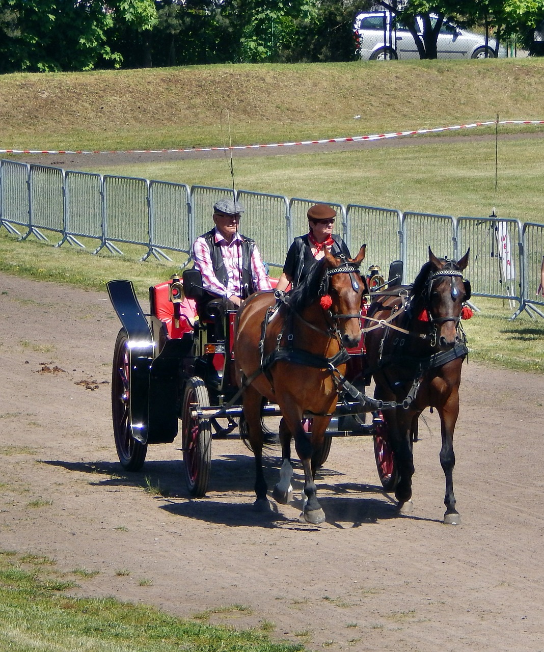 Arklių Vilkikas, Arklys, Galop, Arkliai, Kanopos, Gyvūnas, Nemokamos Nuotraukos,  Nemokama Licenzija