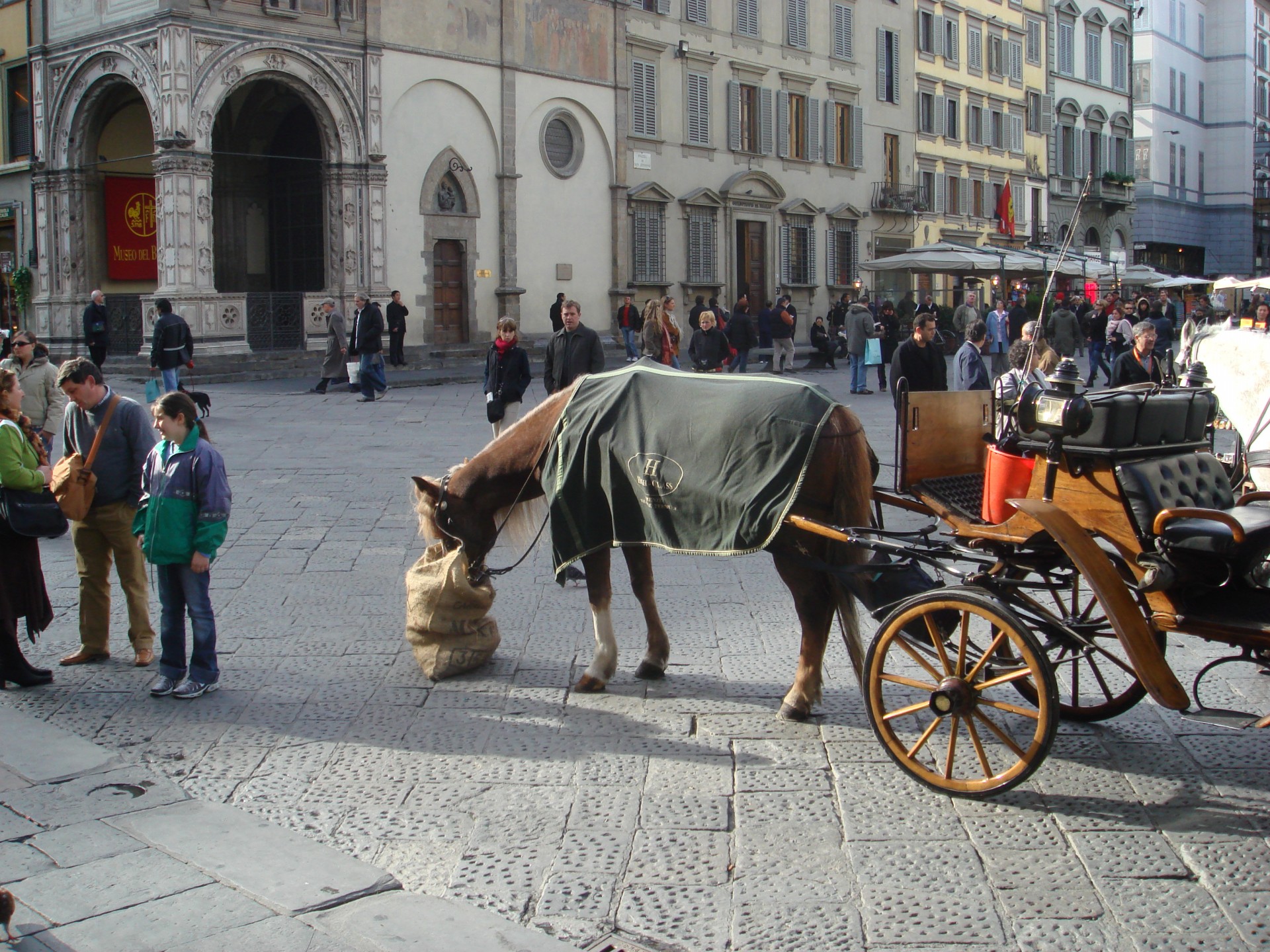 Florencija,  Kvadratas,  Arklys,  Italy,  Žirgas Florencijoje, Nemokamos Nuotraukos,  Nemokama Licenzija