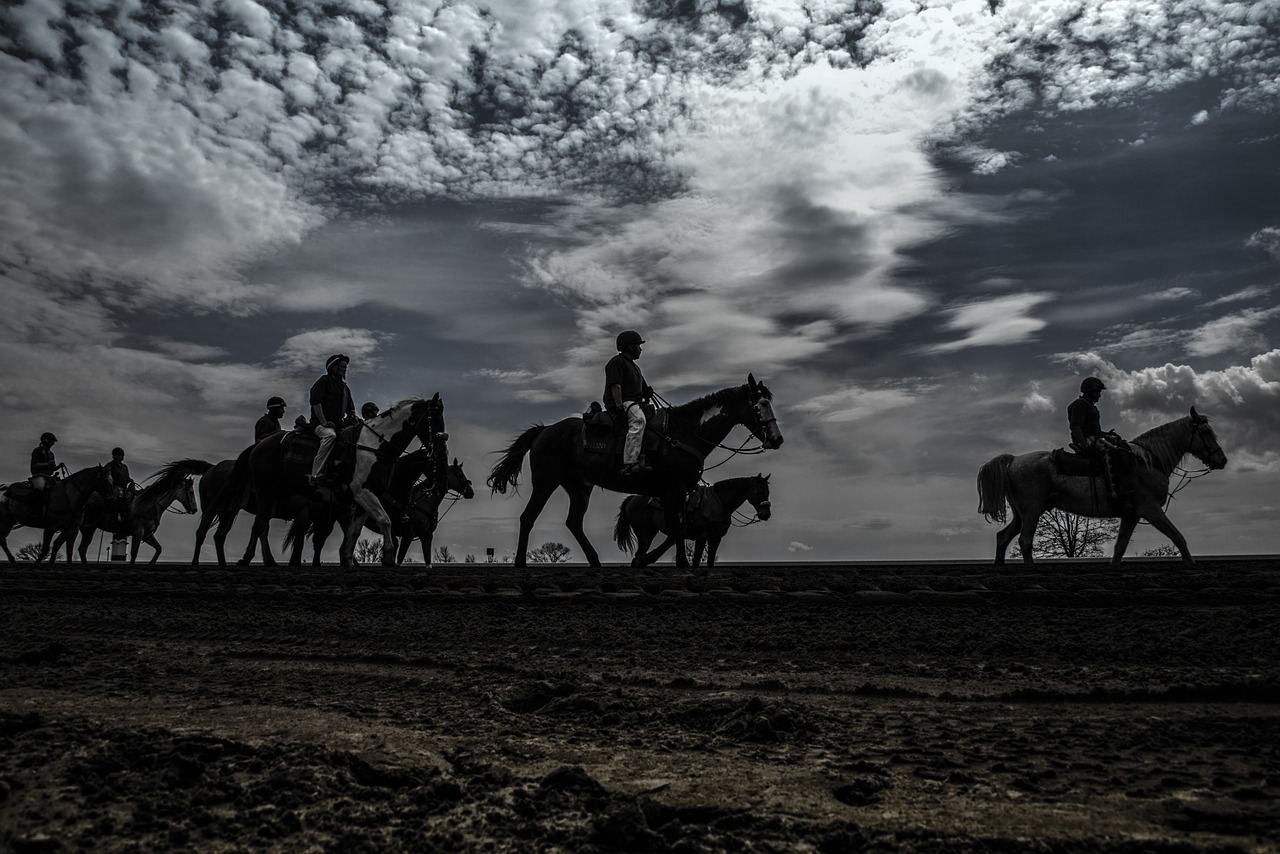 Žirgų Lenktynės, Lenktynių Trasa, Jockey, Grynas, Jodinėjimas, Greitis, Azartiniai Lošimai, Veiksmas, Kentukio Derbis, Grynakraujis