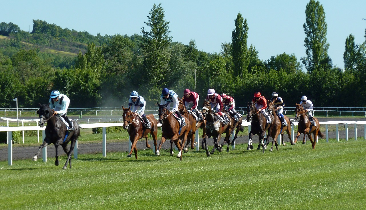 Žirgų Lenktynės, Hipodromas, Arkliai, Jockeys, Arklys, Lenktynės, Castera-Verduzan, Bet, Pmu, Nemokamos Nuotraukos