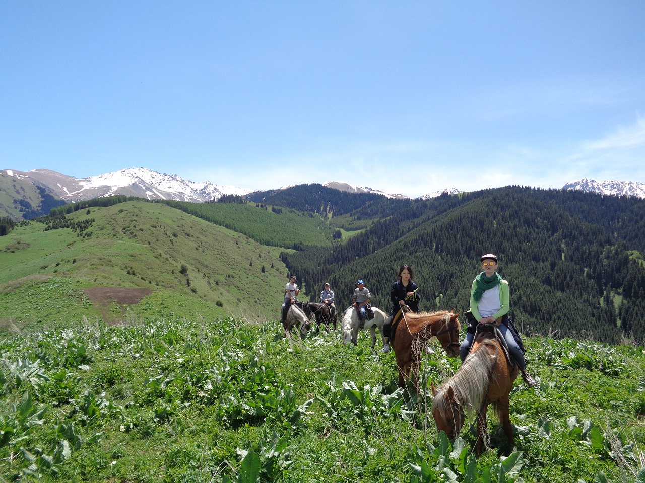 Žirgais, Kirgizija, Slėnis, Nemokamos Nuotraukos,  Nemokama Licenzija