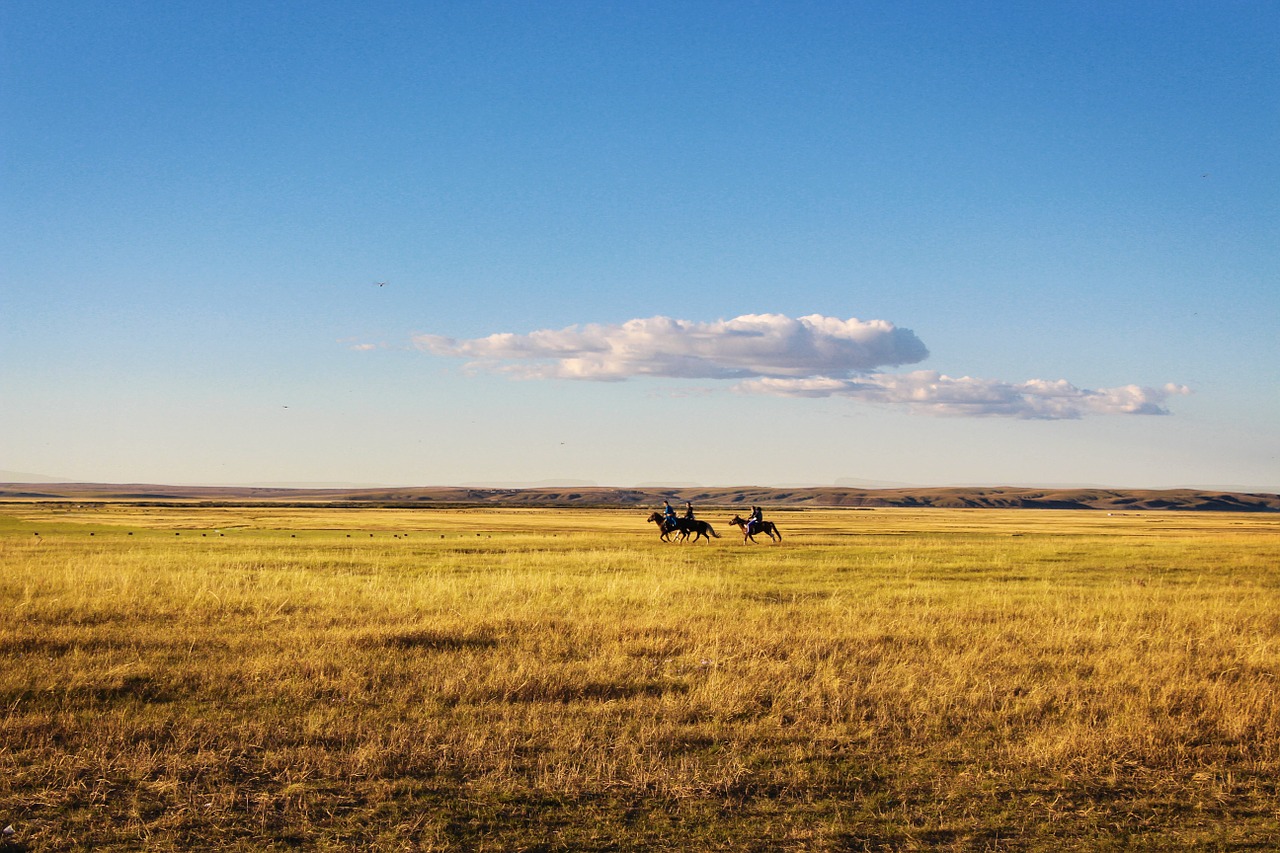 Jodinėjimas Arkliu, Prairie, Didžiulis, Kraštovaizdis, Nemokamos Nuotraukos,  Nemokama Licenzija