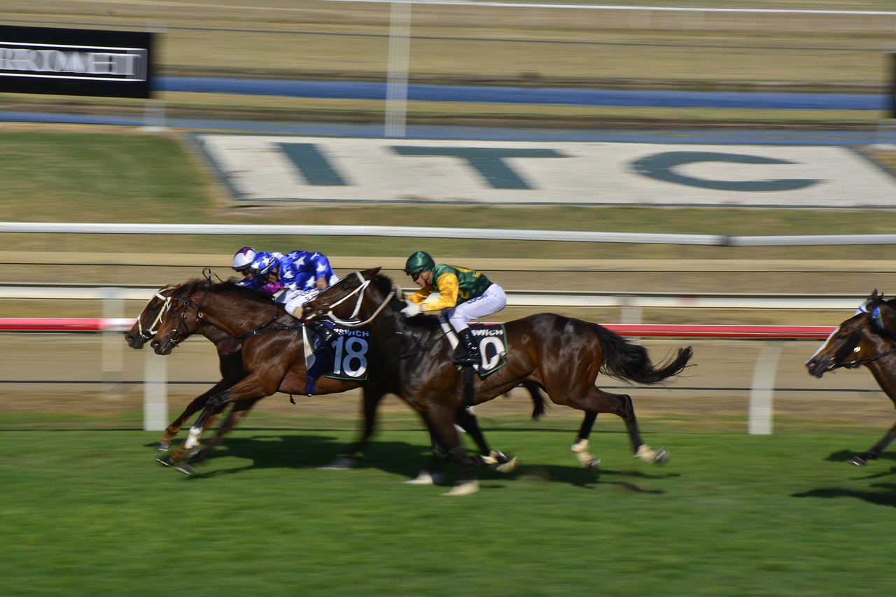 Žirgų Lenktynės, Velėna, Arklys, Lenktynių Žirgais, Gyvūnas, Lauke, Greitis, Paleisti, Jockey, Žolė