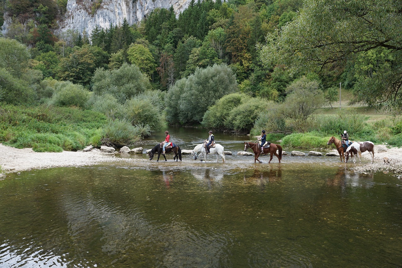 Arkliai, Danube, Vanduo, Važiuoti, Sportas, Kirsti, Danubės Slėnis, Donauwelle, Akmenys, Upė