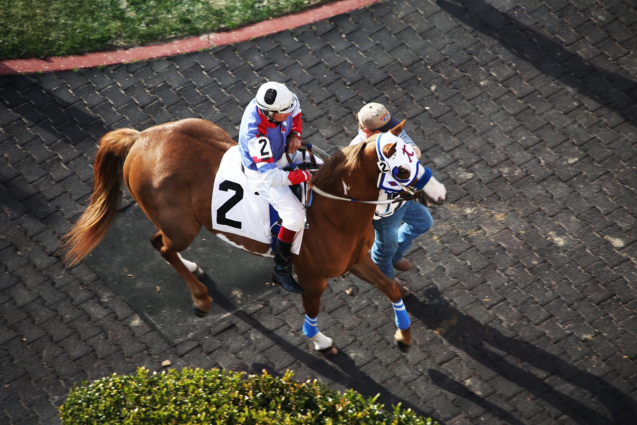 Arkliai, Žirgų Lenktynės, Racetrack, Žirgų Lenktynės, Jockey, Lenktynės, Lenktynės, Raitelis, Arklys, Grynas