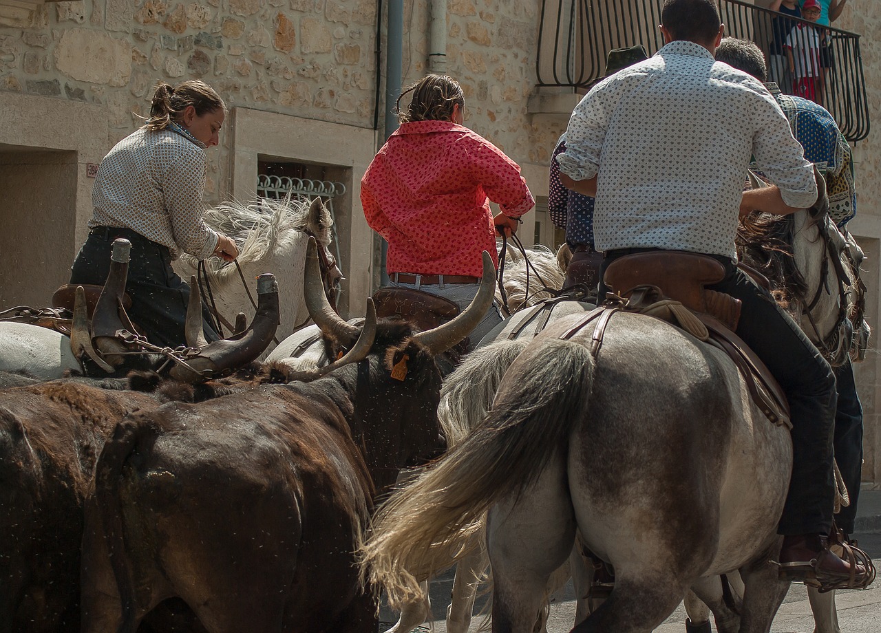 Arkliai, Camargue, Gardininkai, Buliai, Camargue Lenktynės, Nemokamos Nuotraukos,  Nemokama Licenzija