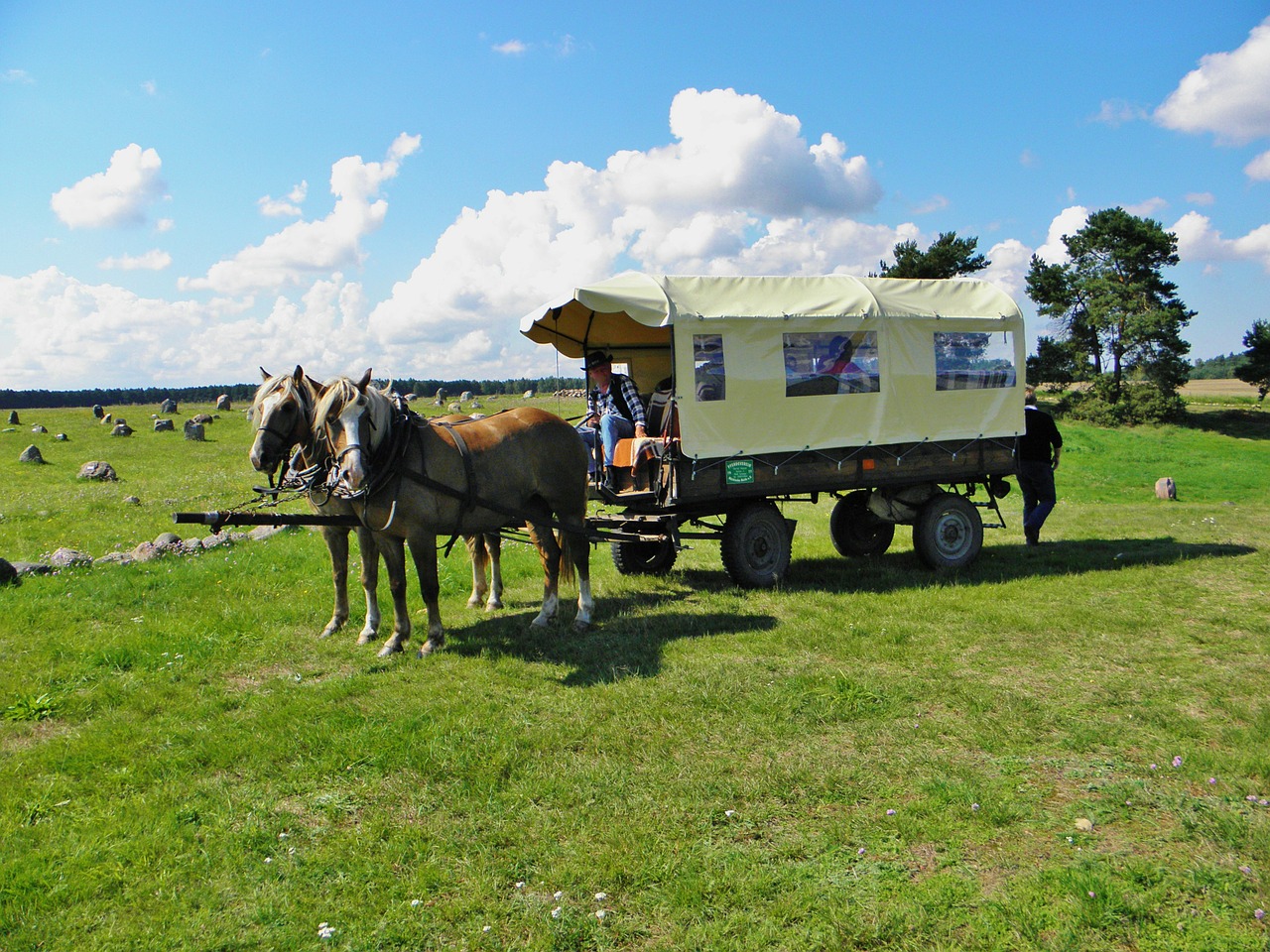 Arkliai, Komanda, Vagonas, Pieva, Debesys, Arklių Vilkikas, Nemokamos Nuotraukos,  Nemokama Licenzija