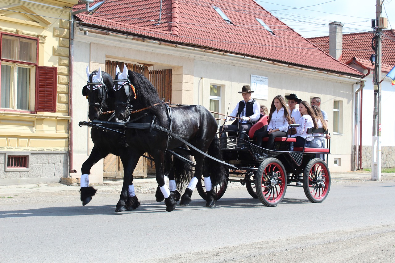 Arkliai,  Tradicijos,  Metai,  Pilietis,  Kultūra,  Tradicinis,  Gyvūnas, Nemokamos Nuotraukos,  Nemokama Licenzija