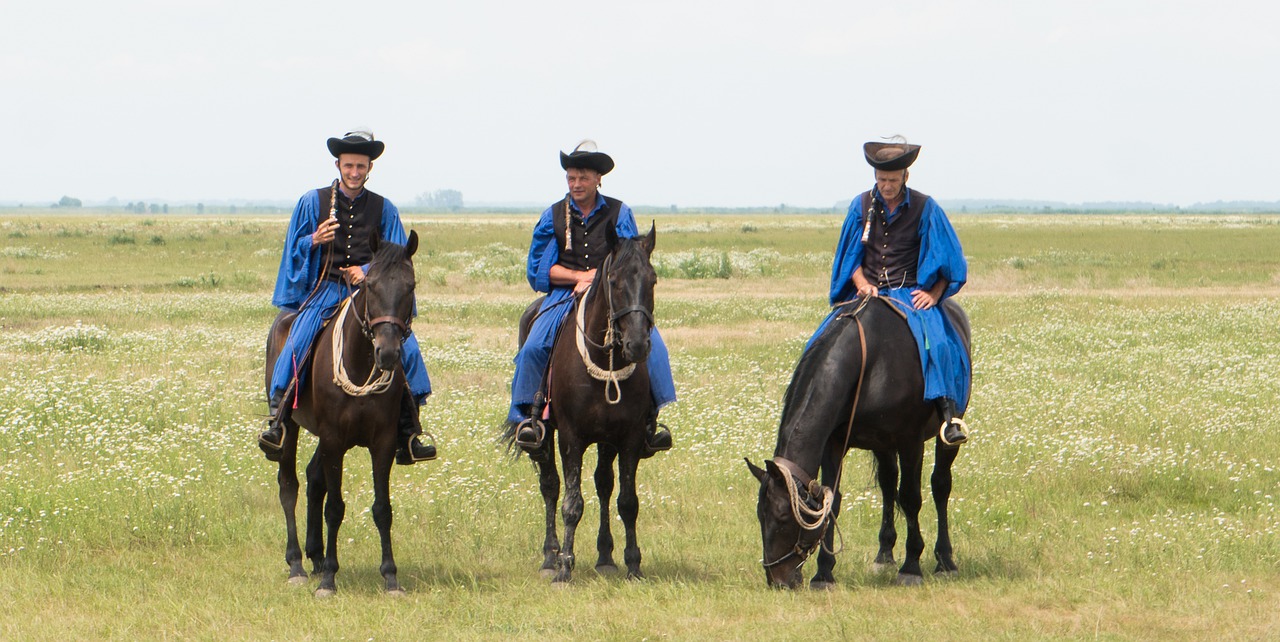 , Nemokamos Nuotraukos,  Nemokama Licenzija