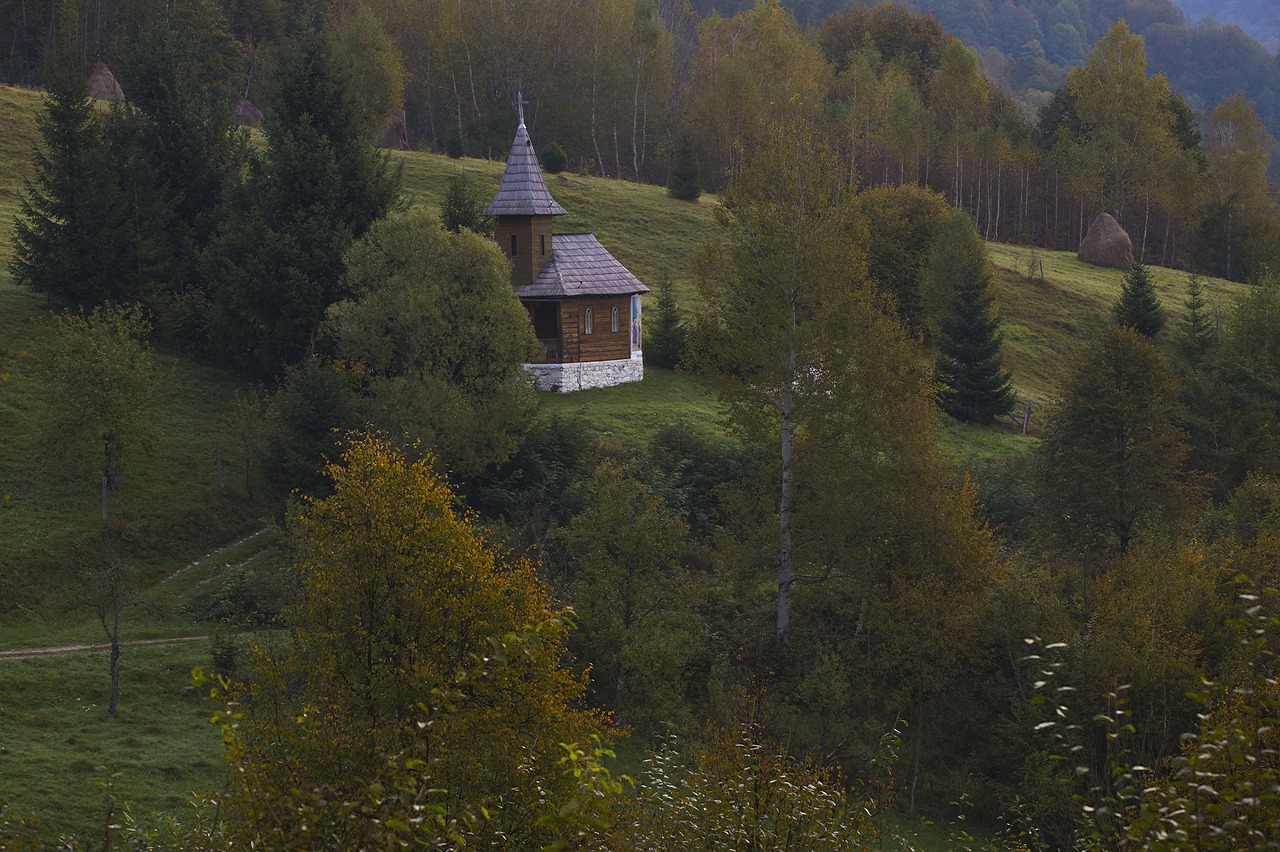 Namas, Žalias, Žolė, Augalai, Medžiai, Kalnas, Miškas, Highland, Kraštovaizdis, Gamta