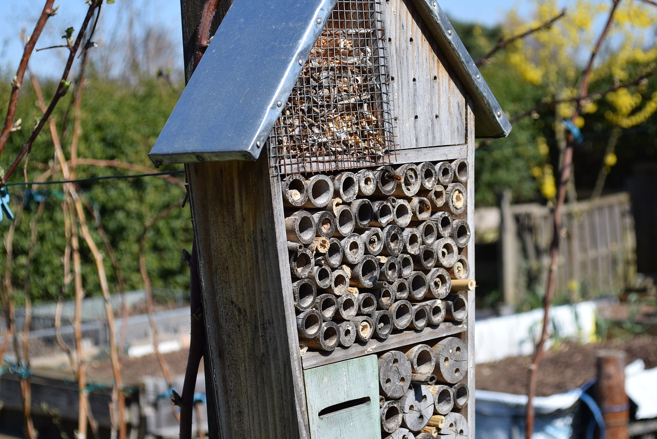 Namas,  Mediena,  Pobūdį,  Insectshouse,  Medinis,  Sodas,  Pavasaris,  Lauke, Nemokamos Nuotraukos,  Nemokama Licenzija