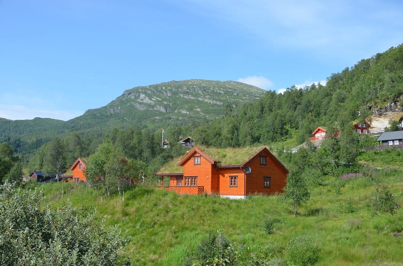 Namas,  Pobūdį,  Lauke,  Mediena,  Medis,  Vasara,  Norvegija,  Durpės,  Orange House,  Miškas