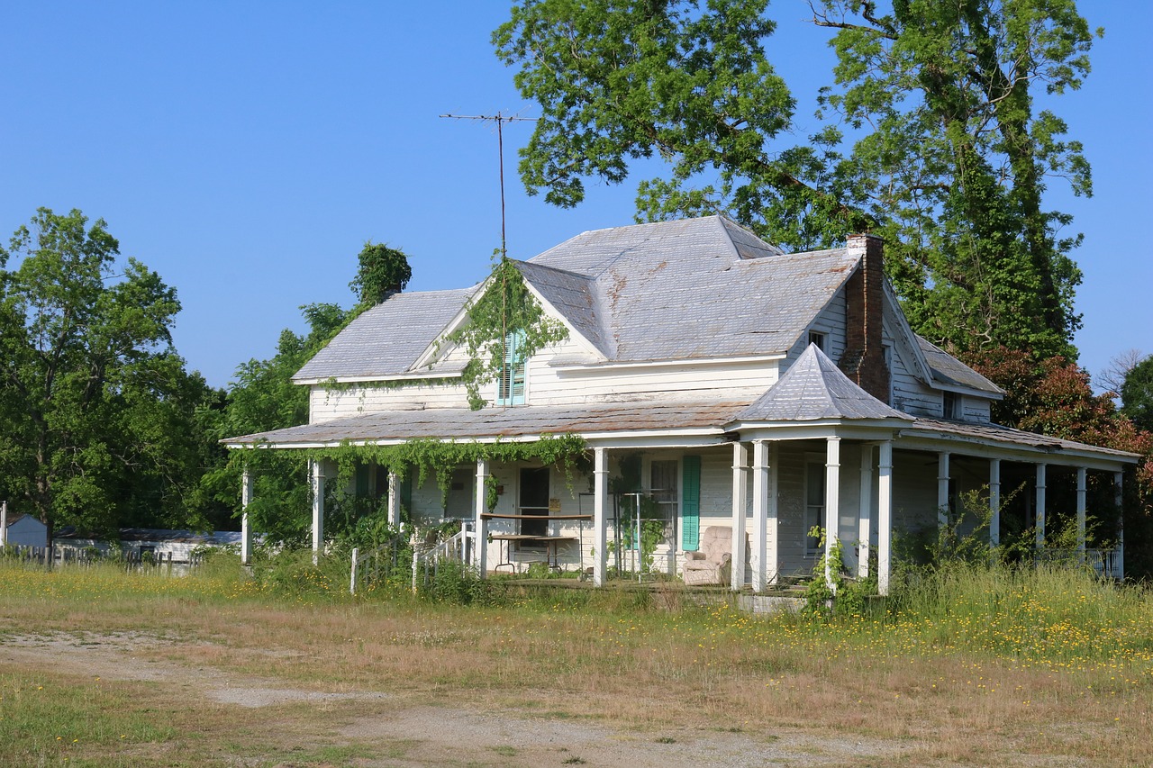 Namas,  Metai,  Kudzu,  Apaugę,  Architektūra,  Statyba,  Mediena,  Kaimo,  Gyvenamasis,  Eksterjero