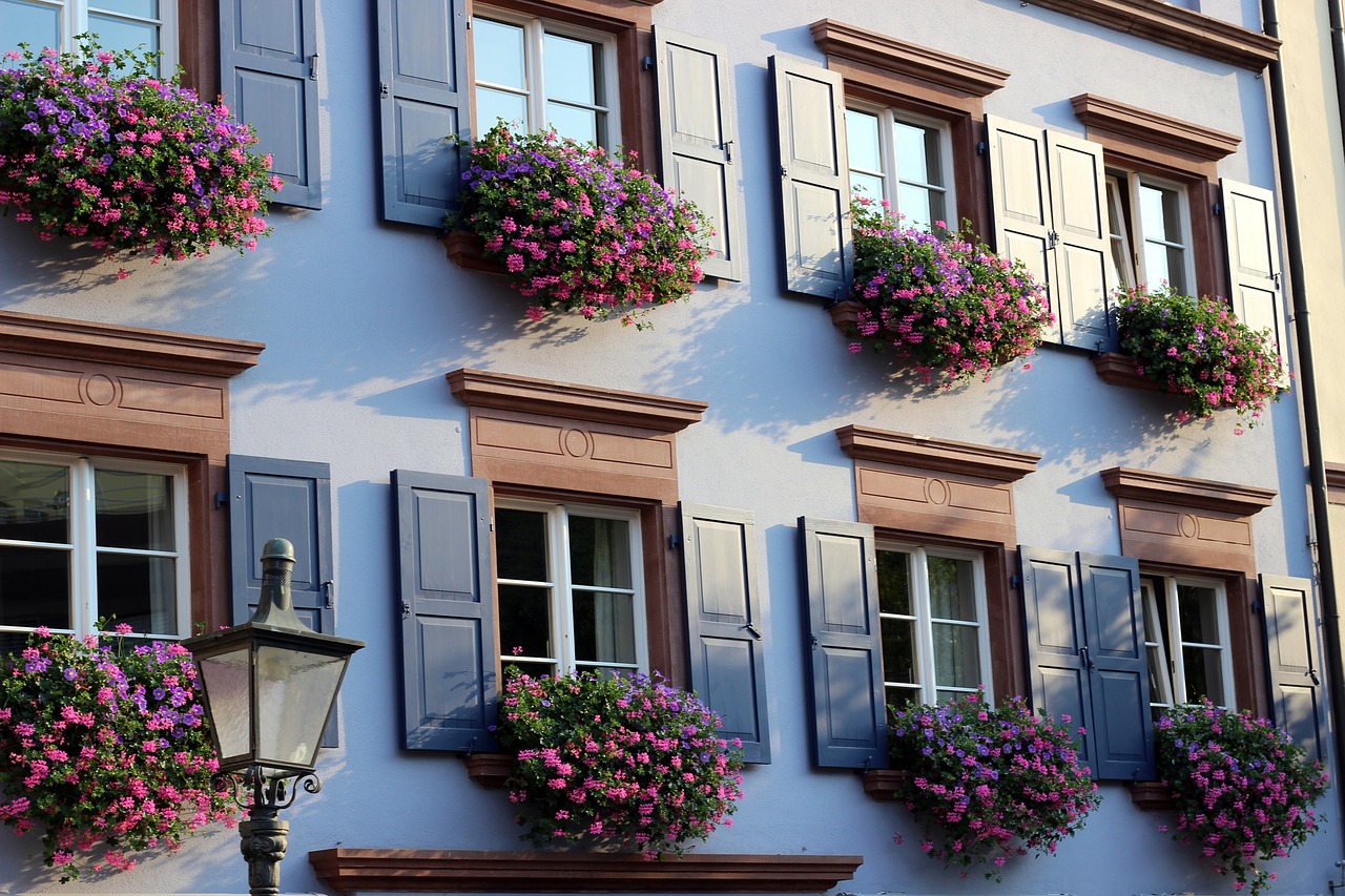 Namas,  Pagrindinis Priekyje,  Spalvinga,  Gėlės,  Mėlyna,  Downtown,  Istorinis Centras,  Šviesos,  Freiburg, Nemokamos Nuotraukos