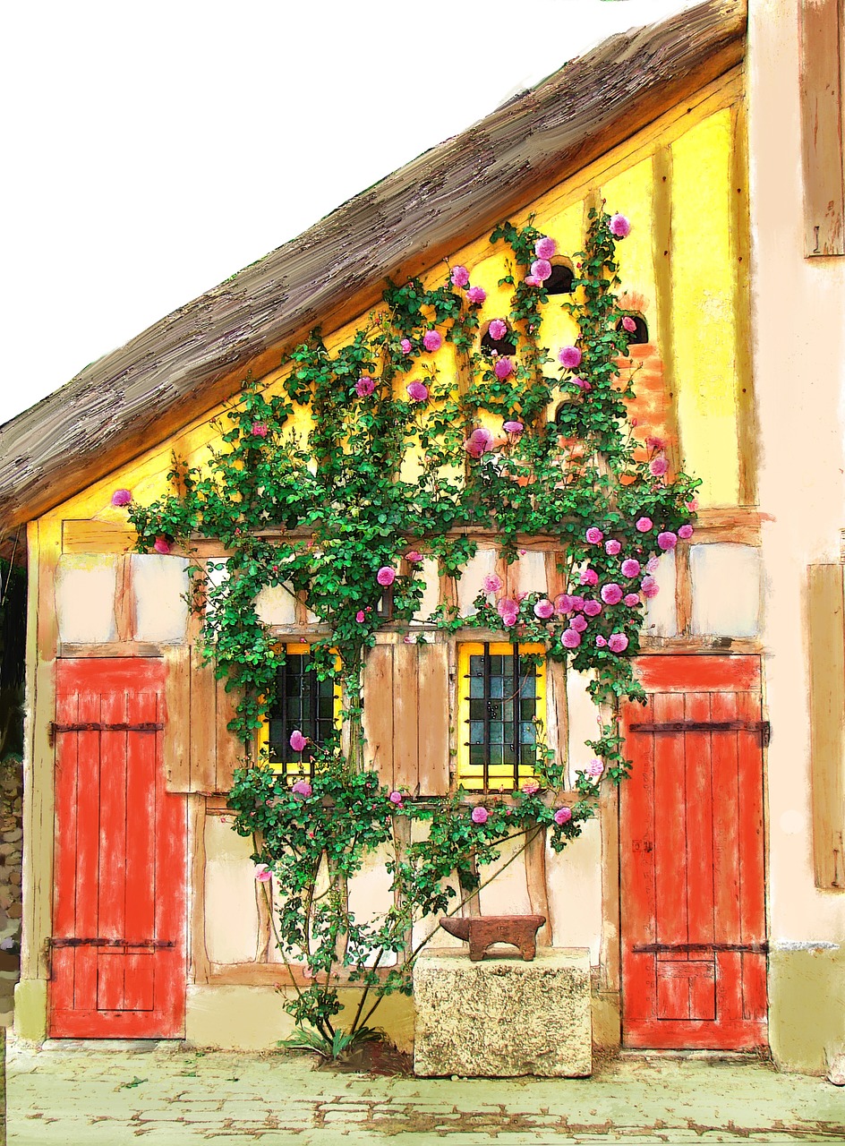 Namas,  Vynuogynai,  Rožės,  France, Nemokamos Nuotraukos,  Nemokama Licenzija