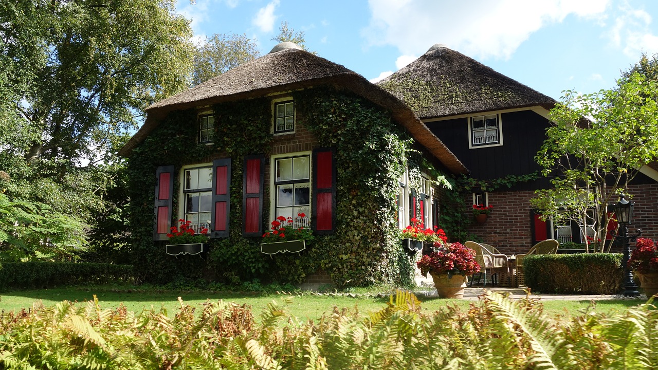 Namas, Giethoorn, Gelderlandas, Nendrė, Nendrinis Stogas, Visoje Šalyje, Turizmas, Nyderlandai, Gyventi, Holland