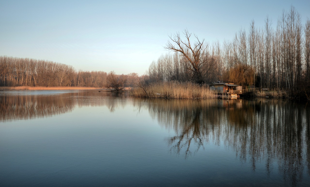 Namelis, Upė, Lužný Les, Luhy, Danube, Slovakija, Atspindys, Gamta, Medžiai, Kraštovaizdis