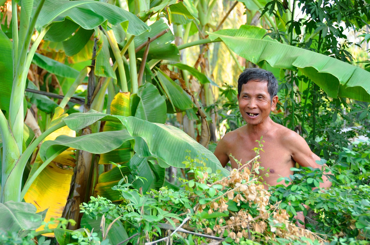 Žmogus, Kambotscha, Bananų Plantacijos, Asija, Vyras, Nemokamos Nuotraukos,  Nemokama Licenzija