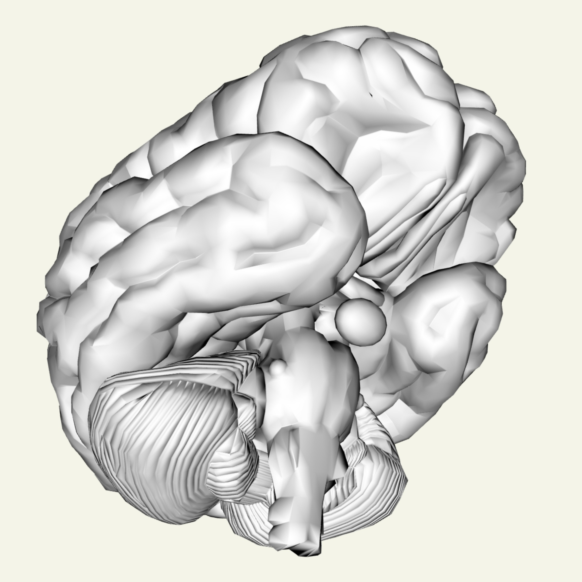 3D,  Žmogus,  Smegenys,  Pilka,  Izoliuotas,  Protas,  Žmogaus Smegenys, Nemokamos Nuotraukos,  Nemokama Licenzija