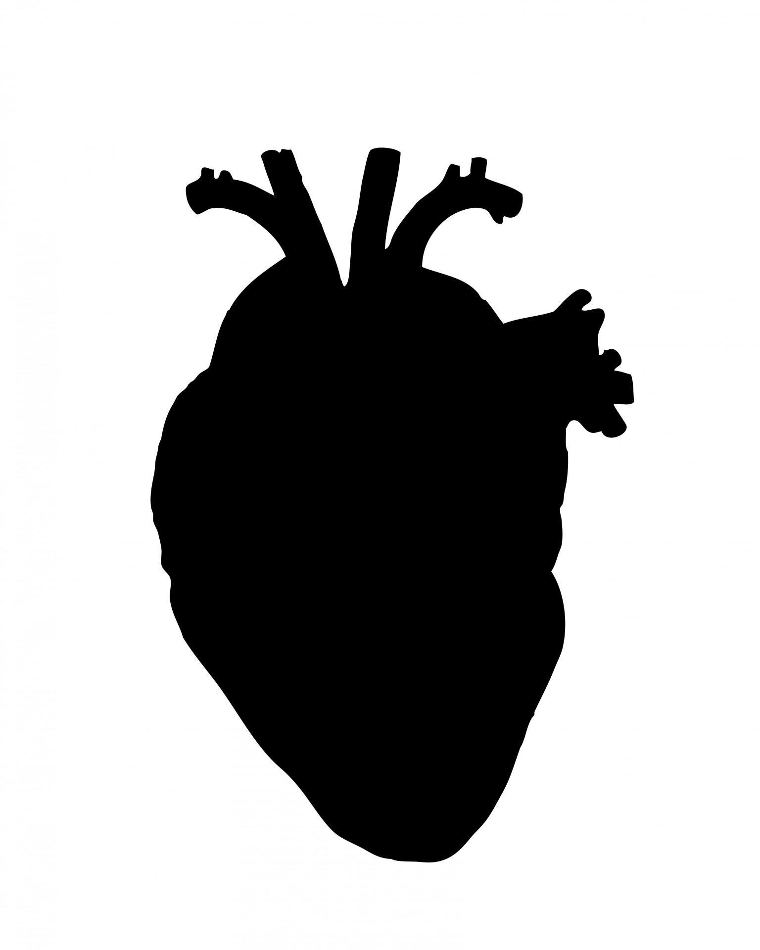 Širdis,  Žmogus,  Žmogus & Nbsp,  Širdis,  Biologija,  Anatomija,  Juoda,  Siluetas,  Menas,  Iliustracija